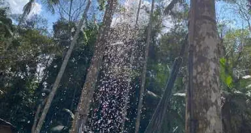 Dias tavares, granja de 1.000m2 com pequena casa, lago e nascente r$ 99.000,00 aceita permuta por casa