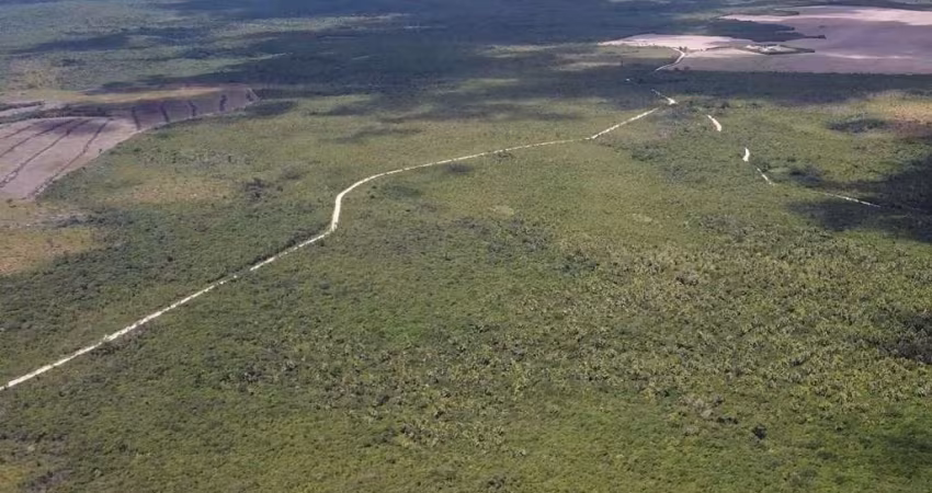 Terreno de 457 hectares para venda em Povoado Santo Antonio