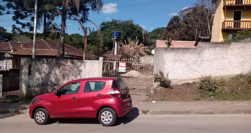 Excelente terreno, ótimo local, todo murado, asfalto, plano.
