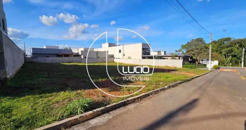 Terreno em condomínio fechado à venda na Rua Antônio Bandeira, Condomínio Residencial Belas Artes, Anápolis