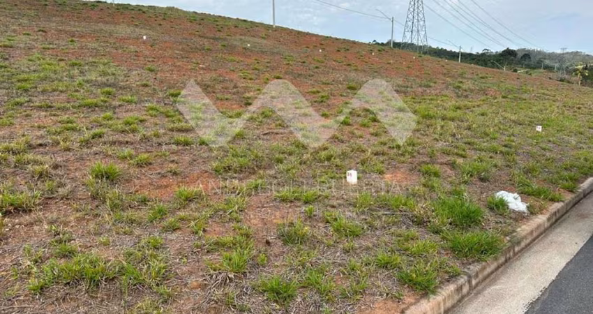 Terreno com projeto no Paradise