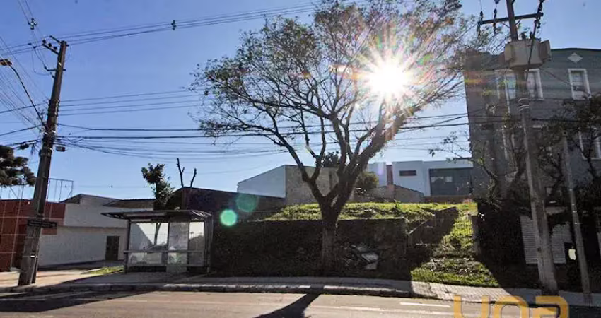 Imobiliária cilar aluga terreno no bigorrilho com 667m², ref.