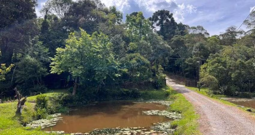 Chácara para venda possui 8000 m² - Casa com 80m² - Serra Alta - São Bento do Sul - SC