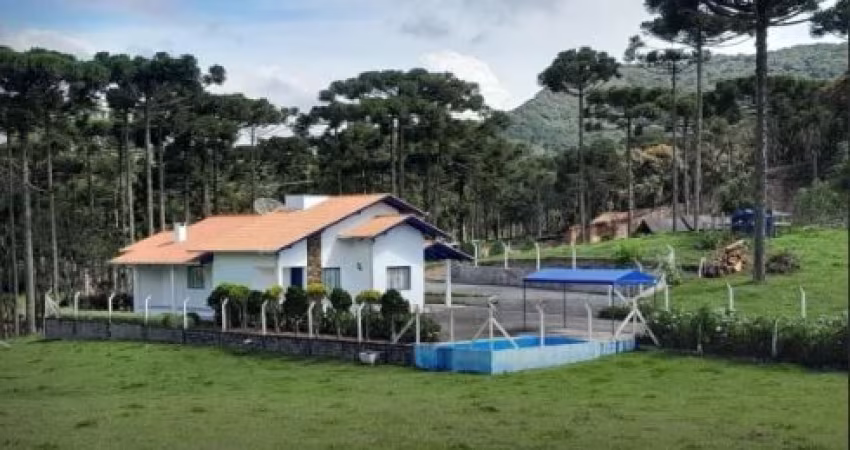 Chácara para venda com 8000 metros quadrados - Casa com 120m² - Campo Alegre - SC