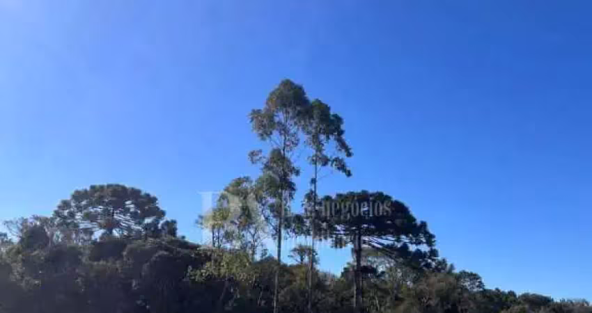 Terreno à venda no bairro lençol, são bento do sul, sc