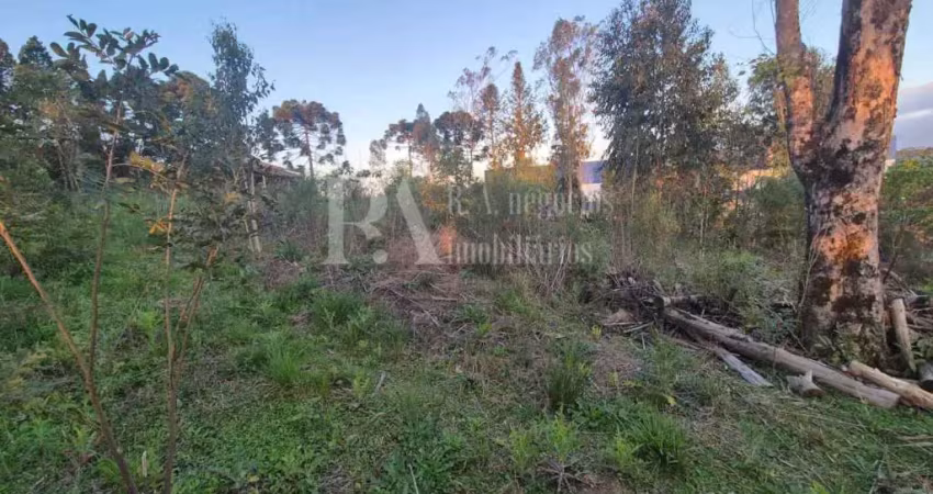 Terreno à venda na Estr. Carlos Schoreder, 800, Alpino, São Bento do Sul