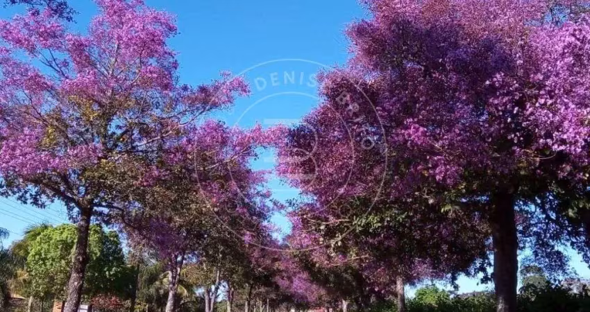Condomínio Alto da Boa Vista - Viva a tranquilidade e o contato com a natureza no Condomínio Alto da Boa Vista!
