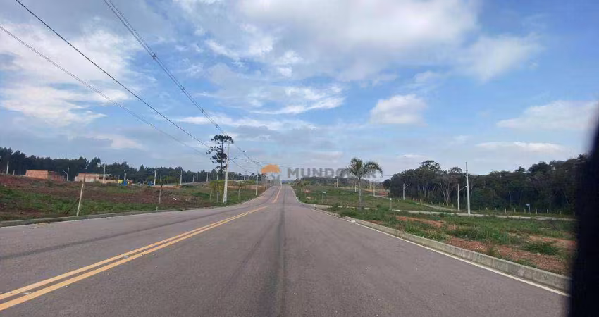 Terreno à venda, 120 m² por R$ 132.000,00 - Costeira - Araucária/PR
