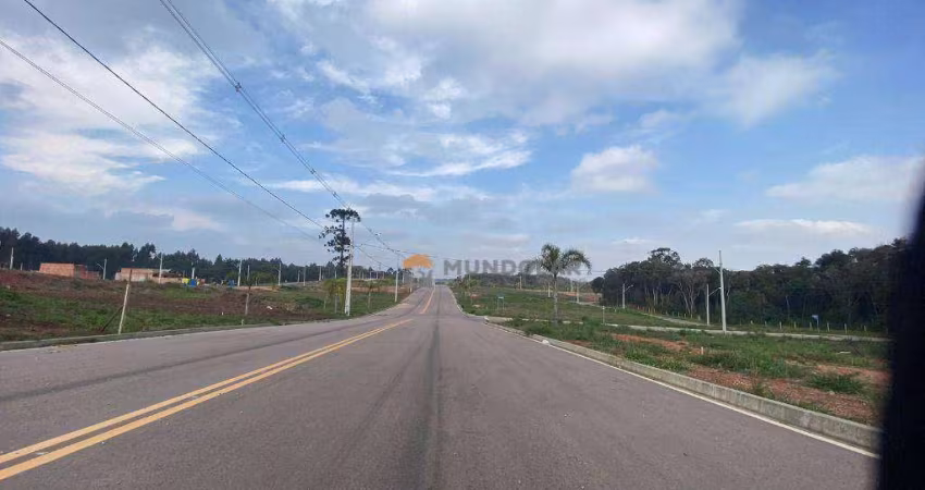 Terreno à venda, 170 m² por R$ 187.594,00 - Costeira - Araucária/PR