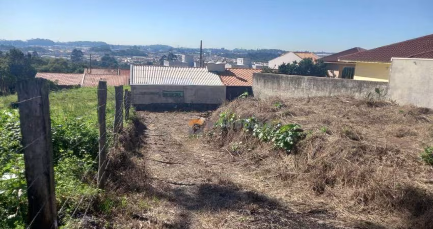 Terreno à venda, 366 m² por R$ 222.600,00 - Thomaz Coelho - Araucária/PR