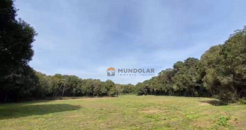 Chácara à venda, 38281 m² por R$ 850.000,00 - Contenda - Contenda/PR