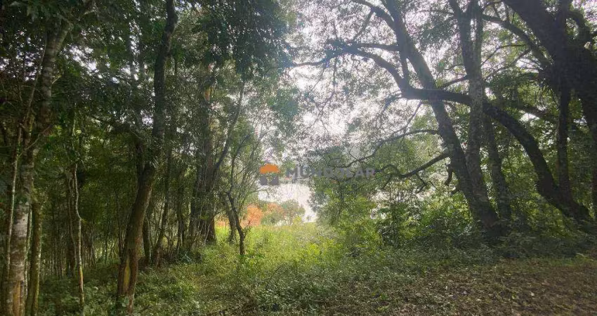 Chácara com 5 dormitórios à venda, 24200 m² por r$ 990.000,00 - ribeirão barragem - campina grande do sul/pr