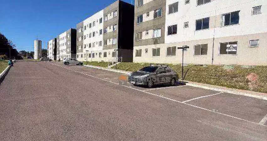 Apartamento com 2 dormitórios à venda, 40 m² por r$ 159.990,00 - bom jesus - campo largo/pr