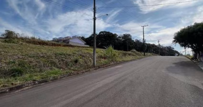 Terreno para Venda em Nova Bassano, Centro