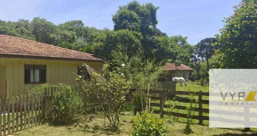 Chácara / sítio com 2 quartos à venda na Rua Água Amarela de Baixo, 1, Água Amarela, Antônio Olinto