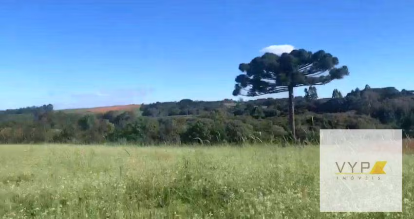 Área em Contenda para morar  e investir