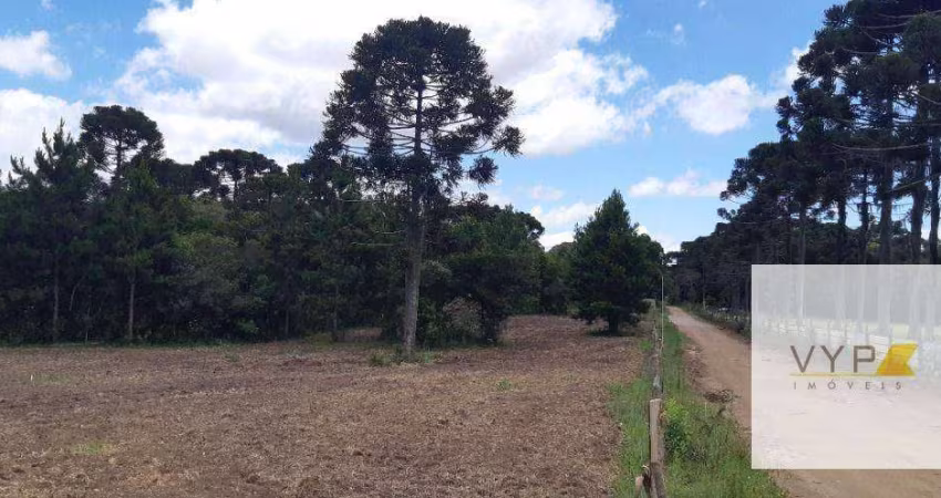Terreno para construir em Piraquara