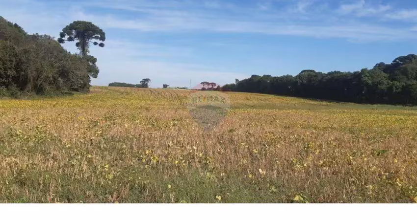 Terreno comercial à venda na Rua Arcidio Claudino Barbosa, s/nr, Campo Largo da Roseira, São José dos Pinhais