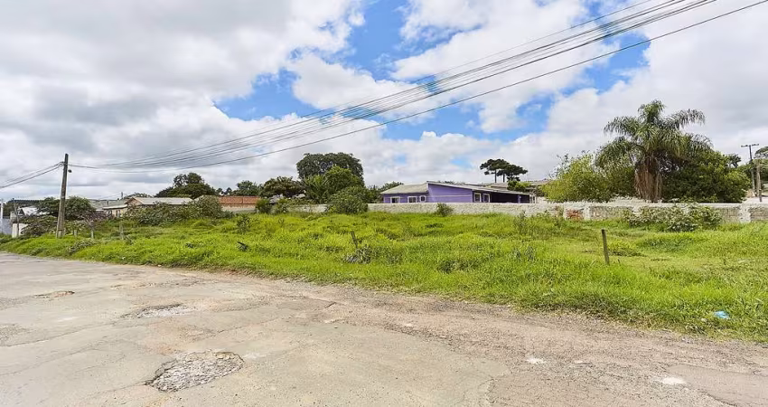 Terreno à venda em Borda do Campo, São José dos Pinhais 