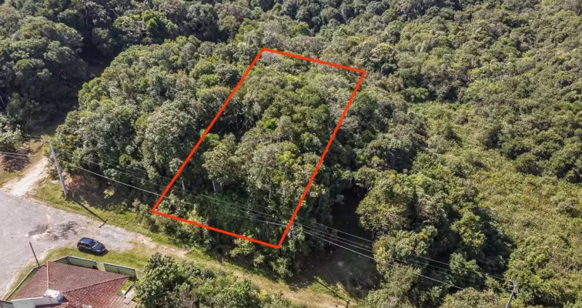 Terreno à venda na Rua Antônio de Araújo Silveira, S_N, Del Rey, São José dos Pinhais