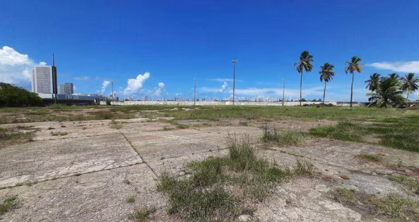 Área de 10.000 m² toda pavimentada com salas administrativa