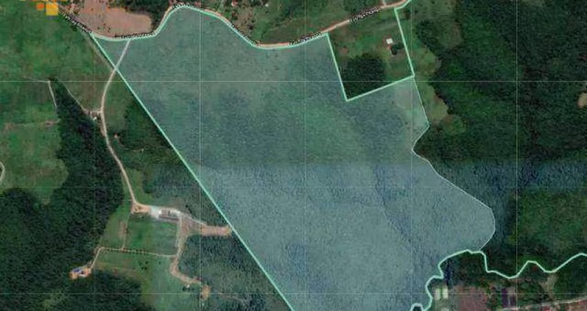 Área à venda, 1050000 m² - Monjope - Igarassu/PE