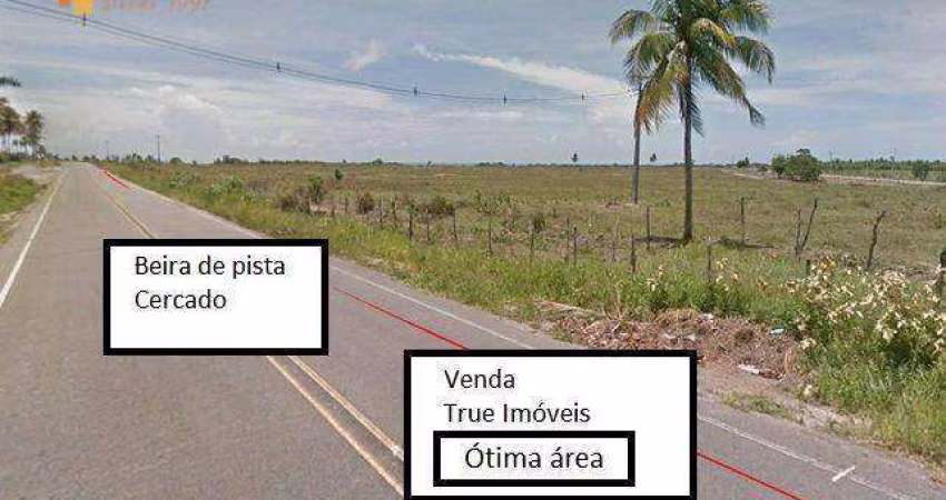 Área na beira da pista