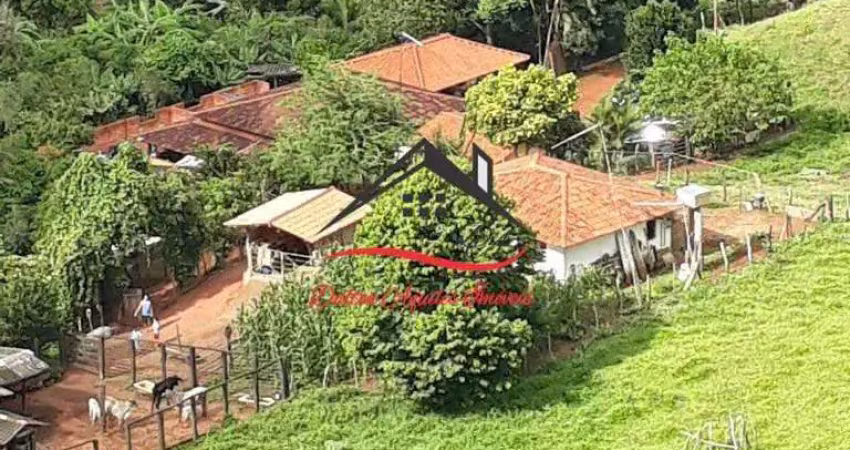 Fazenda para venda em são tomaz no município de carmésia/mg.