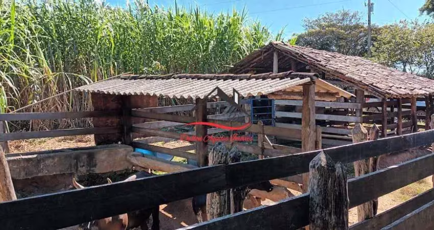Fazenda à venda, 2 quartos, capão pinheiro - diamantina/mg