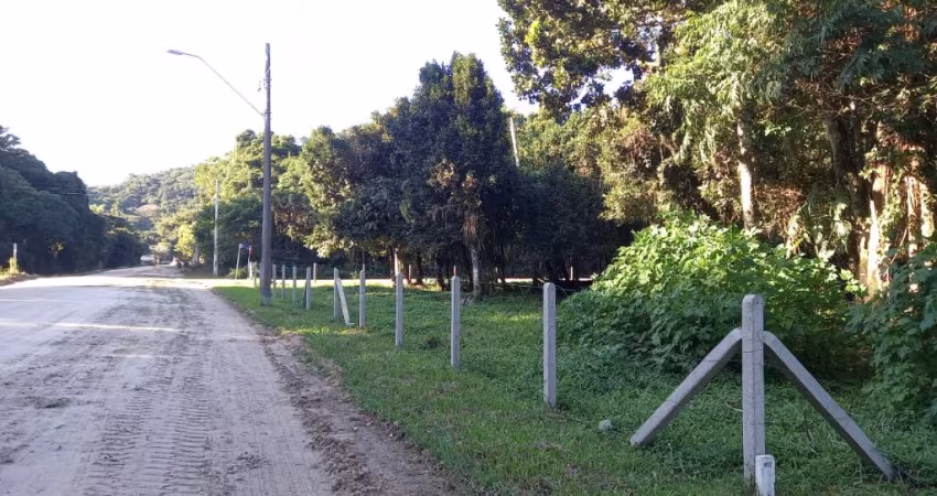 Lotes em Mariscal - Bombinhas
