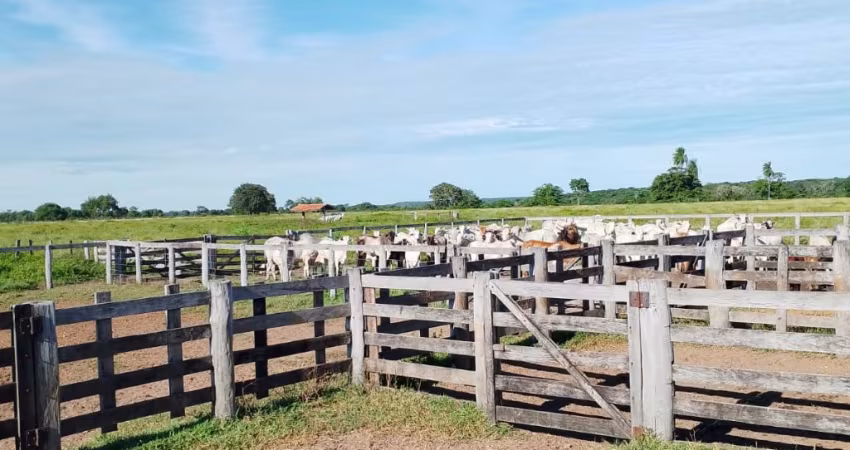 Fazenda no Porto Esperidião