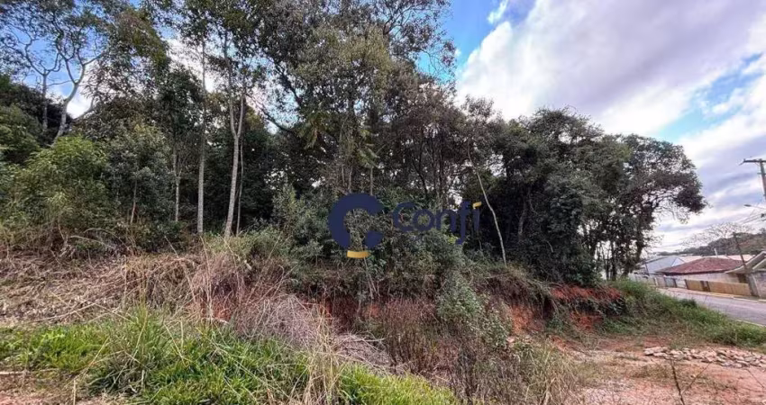 Terreno à venda, 440 m² por r$ 185.000 - vila mandirituba - mandirituba/pr