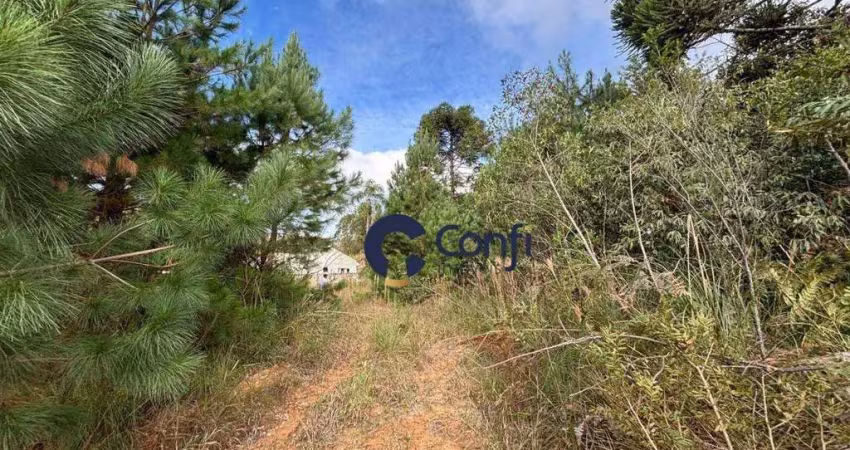 Terreno à venda, 800 m² por r$ 120.000 - vila queimados - mandirituba/pr