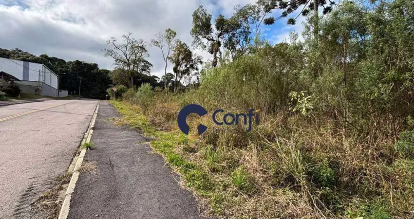 Terreno à venda, 490 m² por r$ 290.000 - jardim mata verde - mandirituba/pr