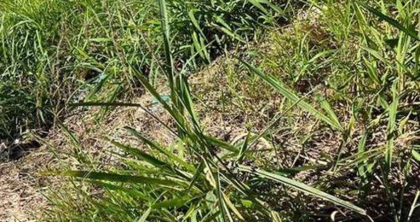 Terreno à venda, 216 m² por R$ 60.000,00 - Avenida Parque - Bady Bassitt/SP