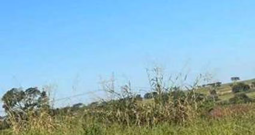Terreno à venda, 200 m² por R$ 120.000,00 - Maisparque Rio Preto - São José do Rio Preto/SP