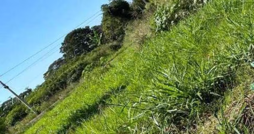 Terreno à venda, 216 m² por R$ 60.000,00 - Avenida Parque - Bady Bassitt/SP