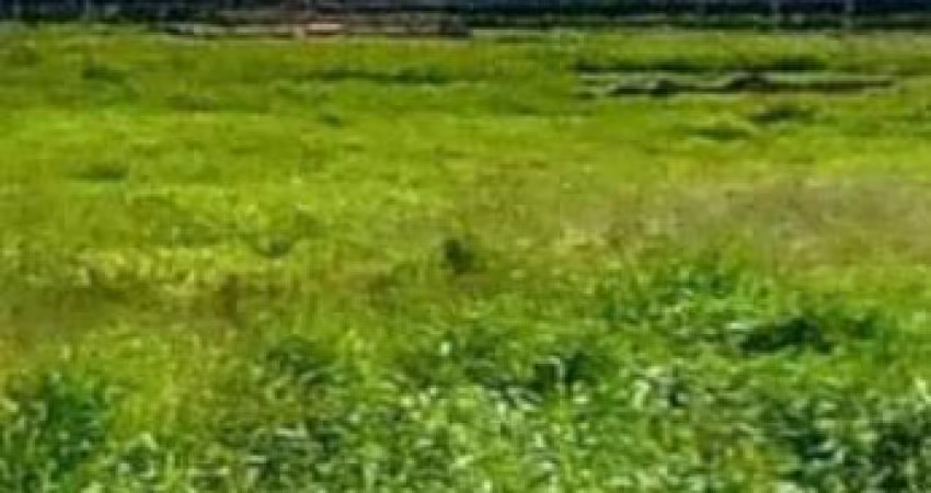 Terreno à venda, 200 m² por R$ 80.000,00 - São Thomaz II - São José do Rio Preto/SP