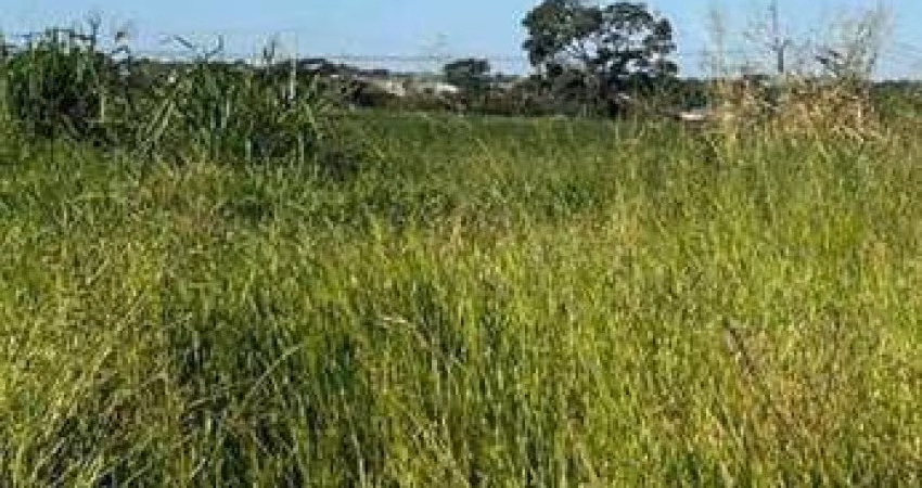 Terreno à venda, 200 m² por R$ 120.000,00 - Maisparque Rio Preto - São José do Rio Preto/SP
