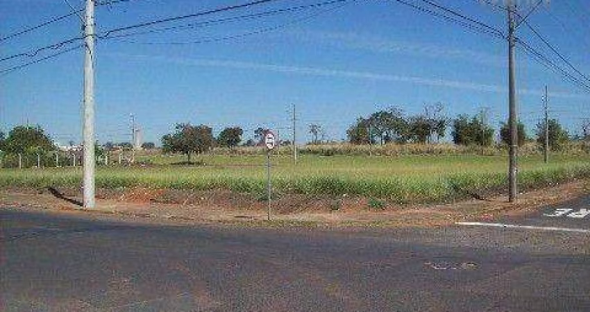 Terreno para alugar, 1800 m² por R$ 20.000,00/mês - Jardim Moysés Miguel Haddad - São José do Rio Preto/SP