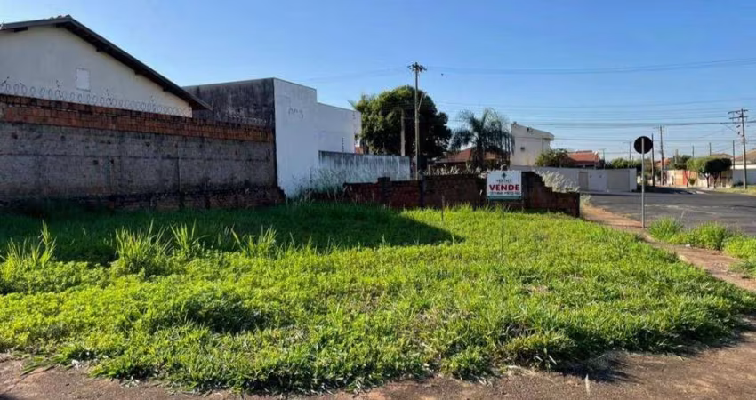 Terreno à venda, 281 m² por R$ 175.000 - Residencial Nato Vetorasso - São José do Rio Preto/SP