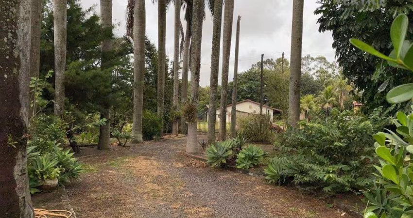 Chácara com 3 dormitórios à venda, 6000 m² por R$ 1.800.000 - Loteamento San Fernando Valley - São José do Rio Preto/SP