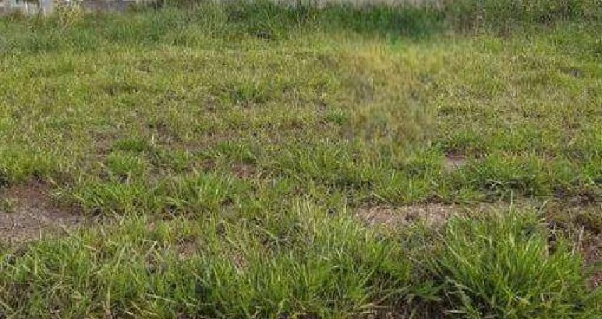 Terreno à venda, 200 m² por R$ 75.000 - JD Tangará - Bady Bassitt/São Paulo
