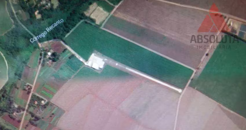 Área à venda, 96000 m² por R$ 4.800.000,00 - Nova Odessa - Nova Odessa/SP