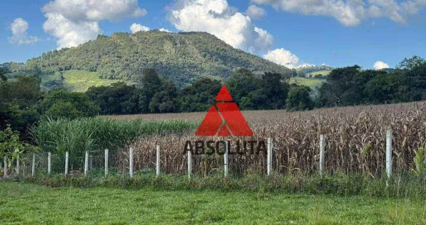 Sítio à venda, 60500 m² por R$ 750.000,00 - Bocaina - Caldas/MG