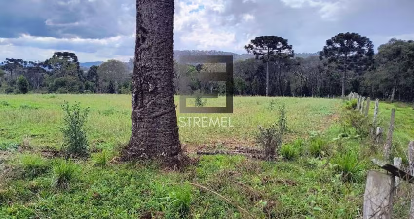 Área Rural para Venda em Guarapuava, Guará