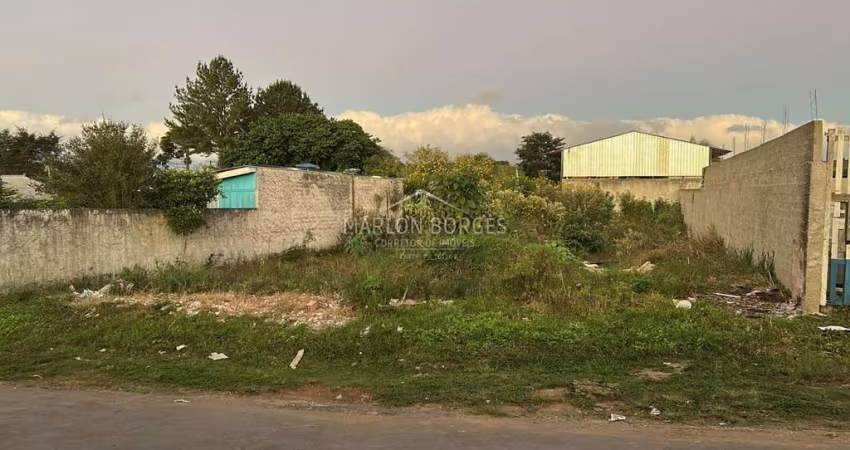Terreno à venda na Rua Antônio Peniche de Moura, 416, Borda do Campo, São José dos Pinhais