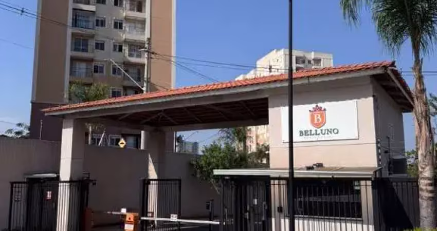 Apartamento para alugar 2 quartos no residencial belluno térreo vila nambi em jundiaí