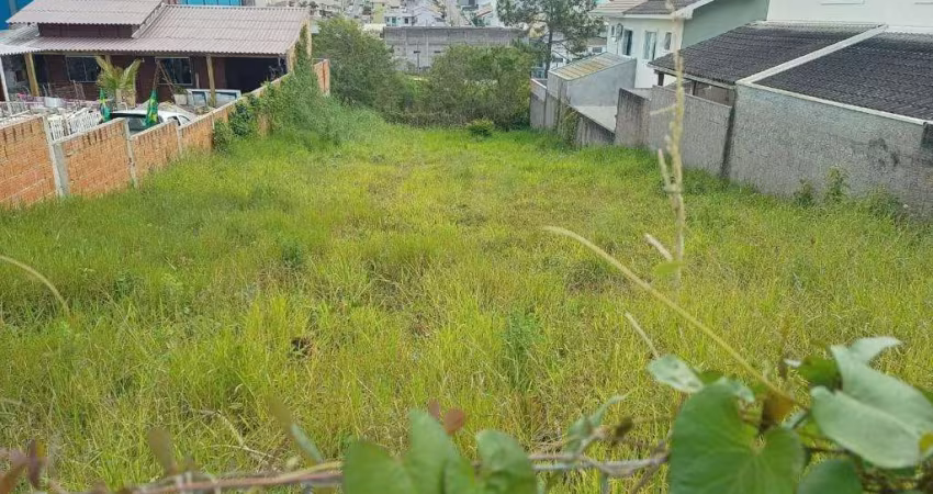 Terreno à venda na Dr. Jayme Antunes Maciel, Forquilhinhas, São José