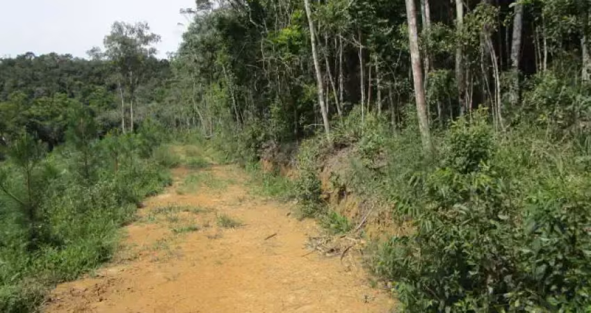 Área ideal para reflorestamento e ou chácara de lazer